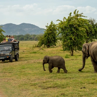 tourhub | Culture Trip | Secrets of Sri Lanka by Train 