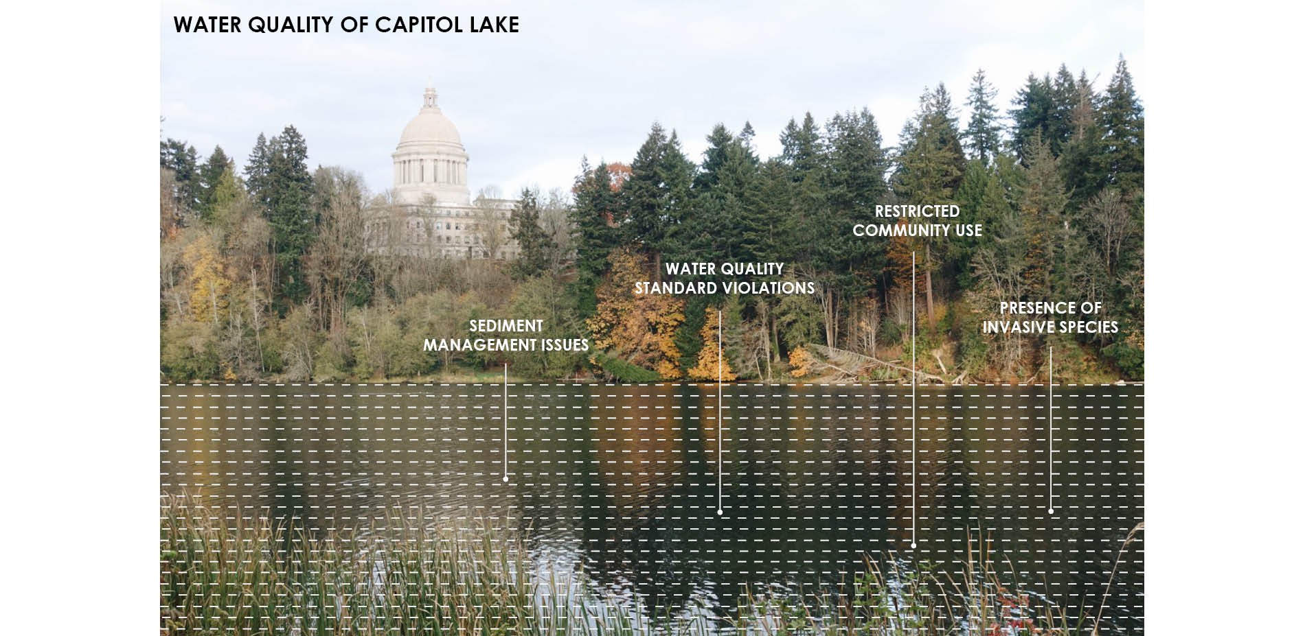 Water Quality of Capitol Lake