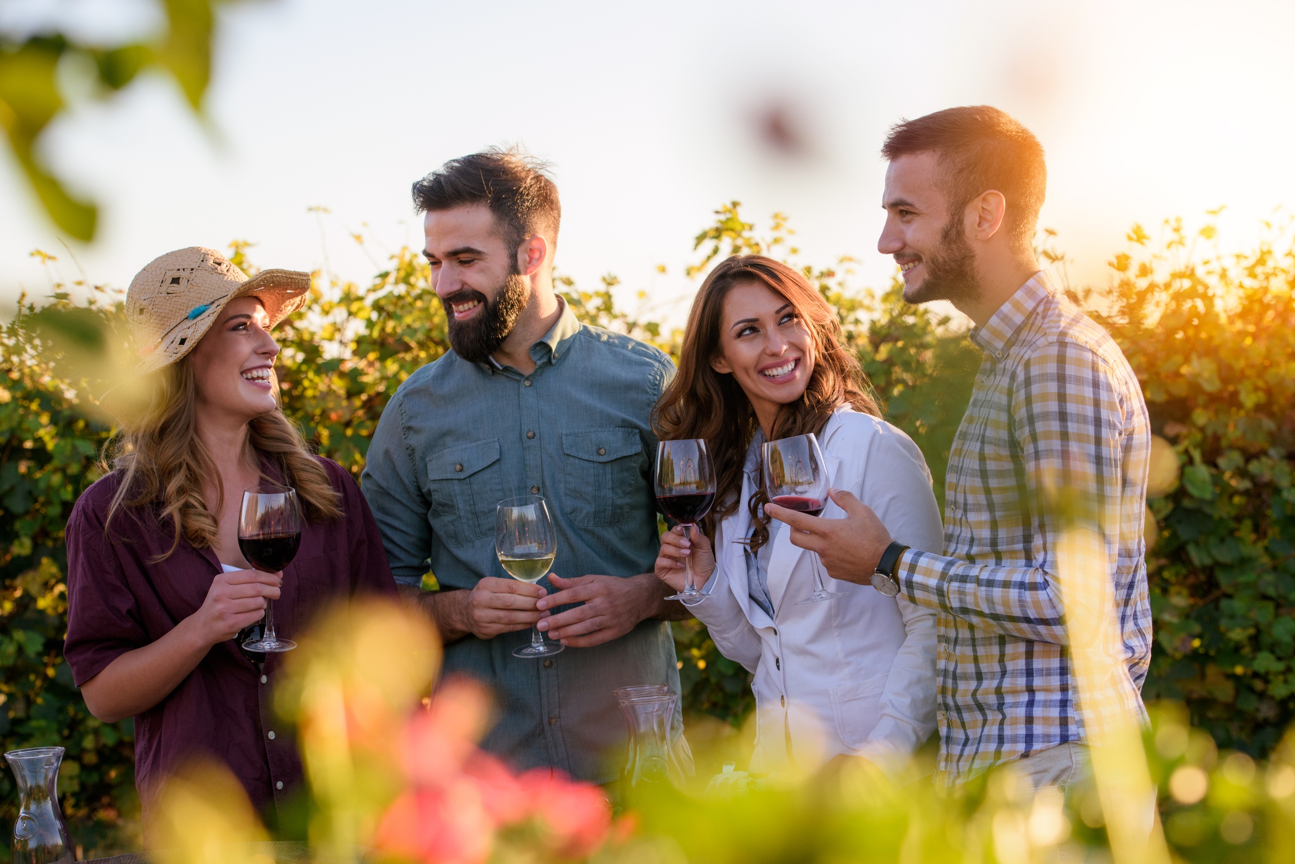 Redwoods and California Wine Country Combo Tour image 1