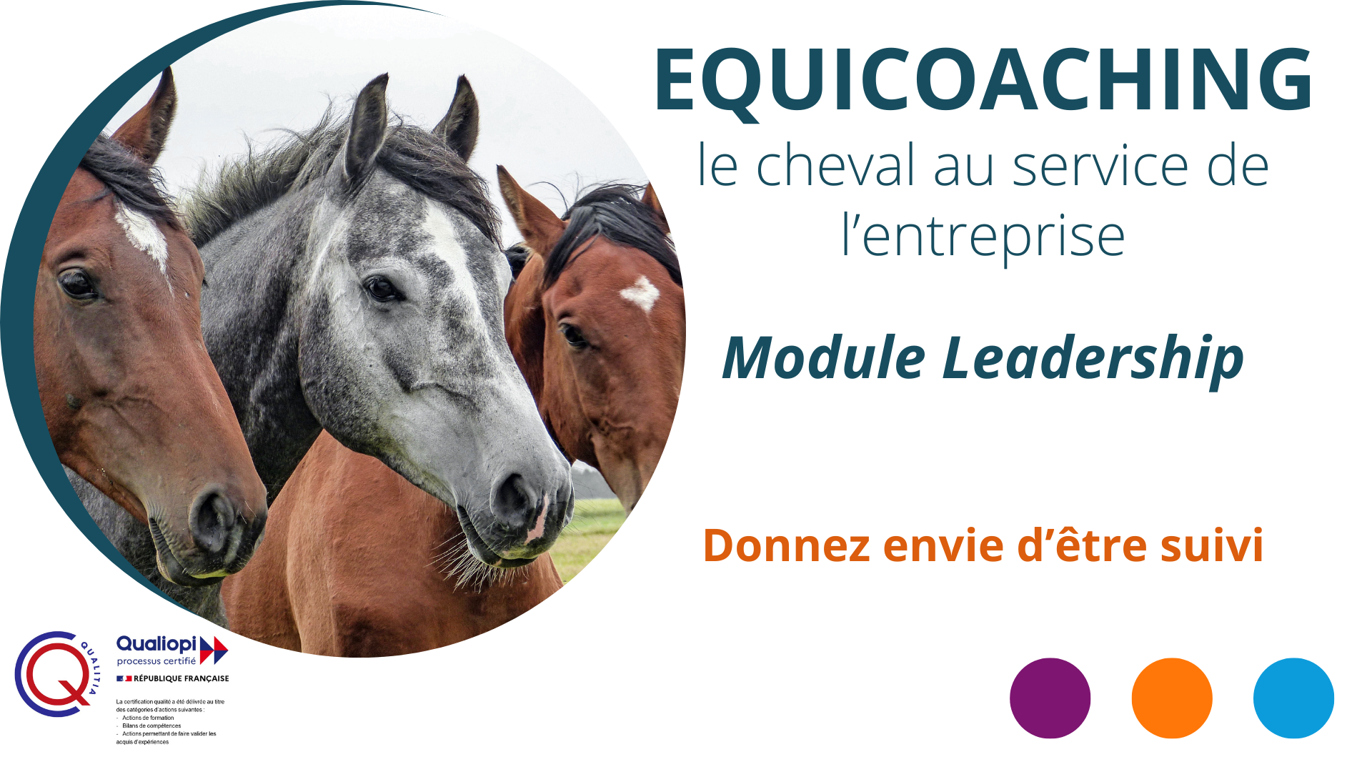 Représentation de la formation : EQUICOACHING - Module Leadership