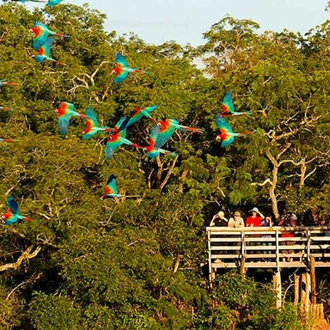 tourhub | Bamba Travel | Pantanal, Bonito & Iguazu Adventure 9D/8N (from Campo Grande) 