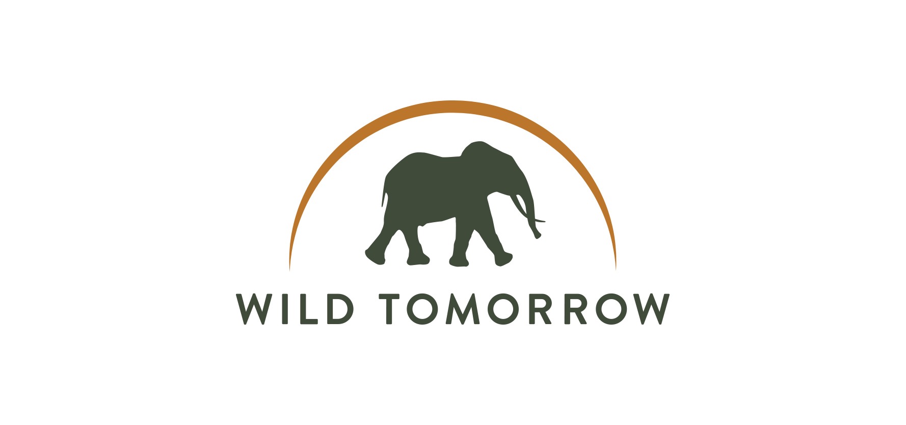 Wild Tomorrow logo