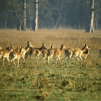 tourhub | Liberty Holidays | 3-Days Chitwan National Park Tour from Kathmandu by private vehicle  