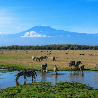 tourhub | Johnbow Tours and Travel | 3 Days Amboseli National Park Safari 