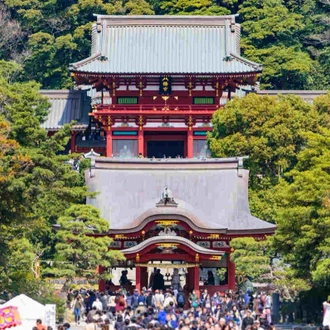 tourhub | YellowWood Adventures | Cultural cities, temples & castles of Imperial Japan 