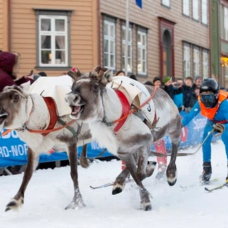 tourhub | Indus Travels | An Arctic Adventure in Norway 