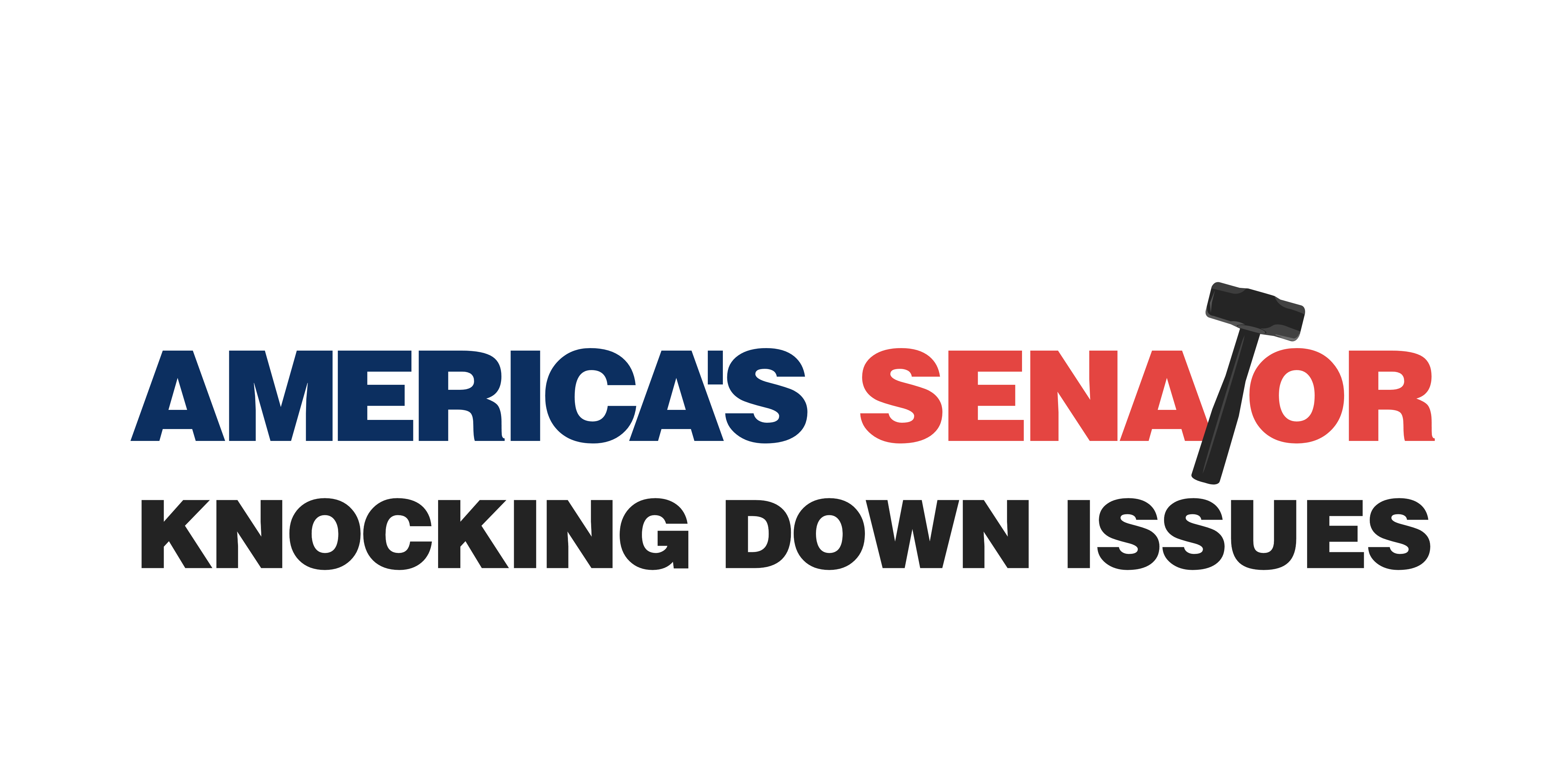 Americas Senator logo