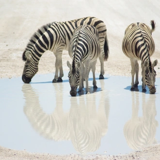 tourhub | Exodus Adventure Travels | Cycle Namibia 