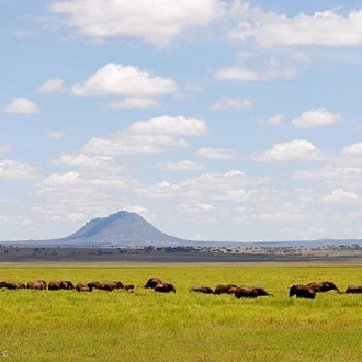 tourhub | Gundua Africa Adventures | 4 Days Joining Camping Safari in Tarangire, Serengeti and Ngorongoro 