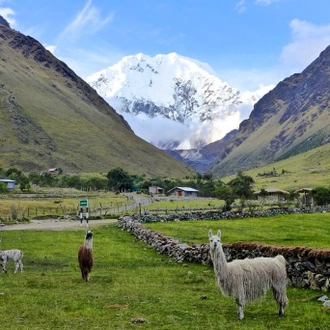 tourhub | Latin Adventures | 5-Day Salkantay Trek to Machu Picchu (share group service) 