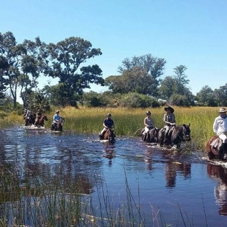 tourhub | YellowWood Adventures | Horse riding safari in Botswana's Okavango Delta 