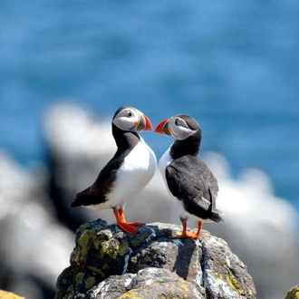 tourhub | Explore! | Walking Scotland’s Orkney Islands 