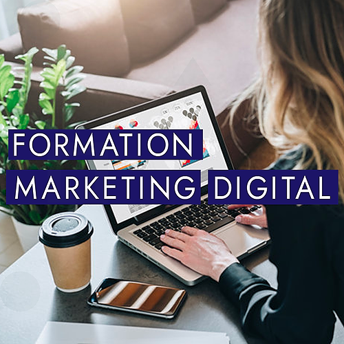 Représentation de la formation : Marketing Digital : Construire un plan d'actions stratégiques