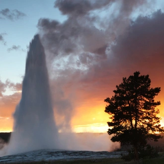 tourhub | G Adventures | Journeys: Iconic Wildlife of Yellowstone and Grand Teton 