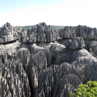 tourhub | Fosa Travel | Discover the Unique in Madagascar - Lemurs, Baobabs, Tsingy 