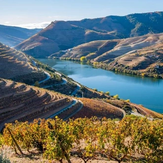 tourhub | Omega Tours | Porto & the Douro Valley Private Discovery 