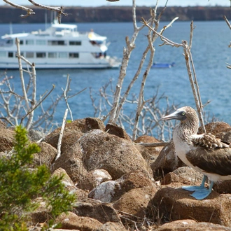 tourhub | G Adventures | Galápagos – West and Central Islands aboard the Reina Silvia Voyager (Cruise Only) 