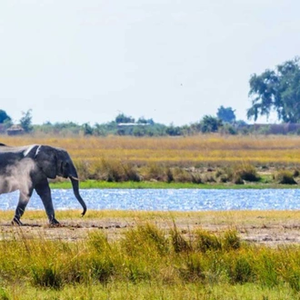 tourhub | Intrepid Travel | Johannesburg to Zanzibar 