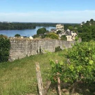 tourhub | Walkers' Britain | Loire Vineyard Trails 