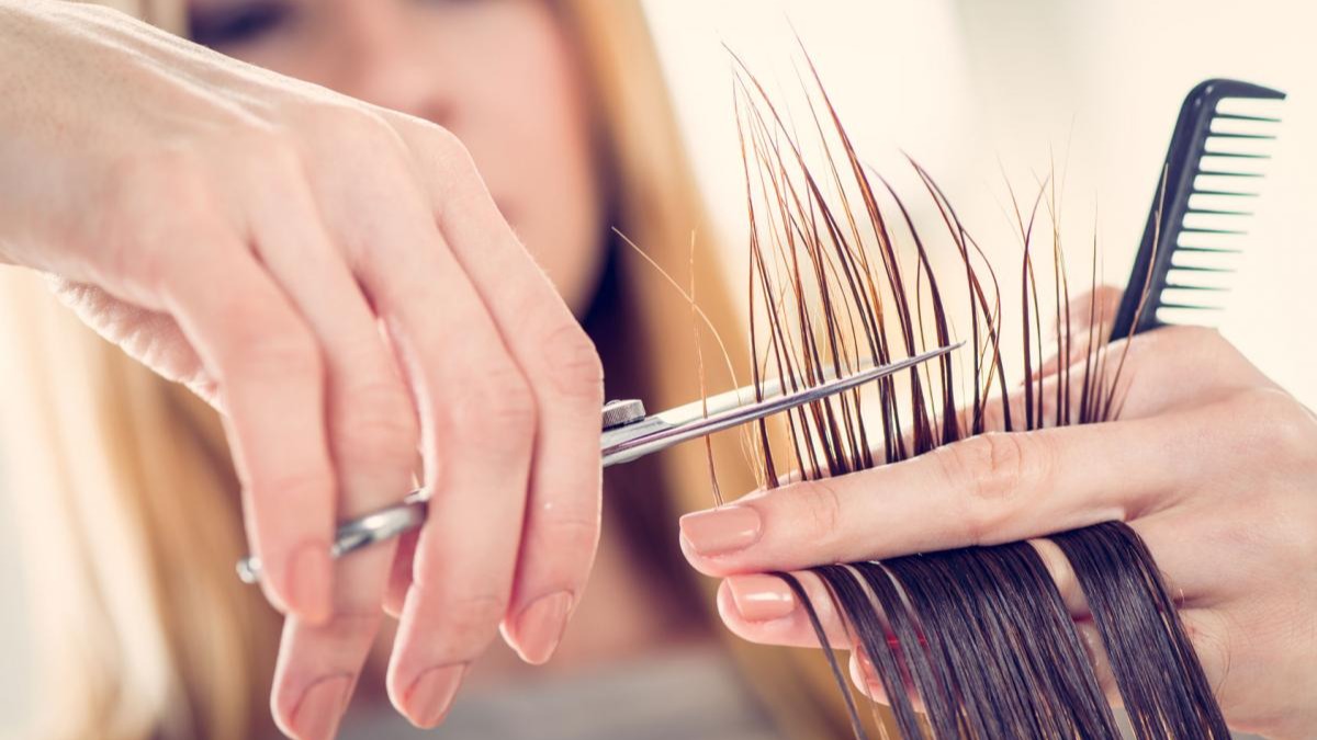 Représentation de la formation : CAP Métiers de la Coiffure apprentissage-RNCP34670