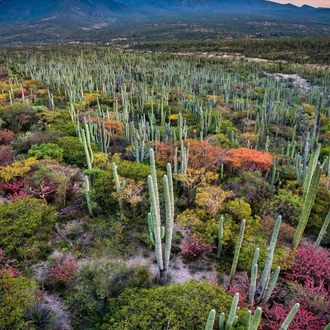 tourhub | Lupita Overland | Genuine Mexico, Day of the Dead Edition 