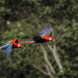 tourhub | Explore! | Natural Wonders of Guyana 