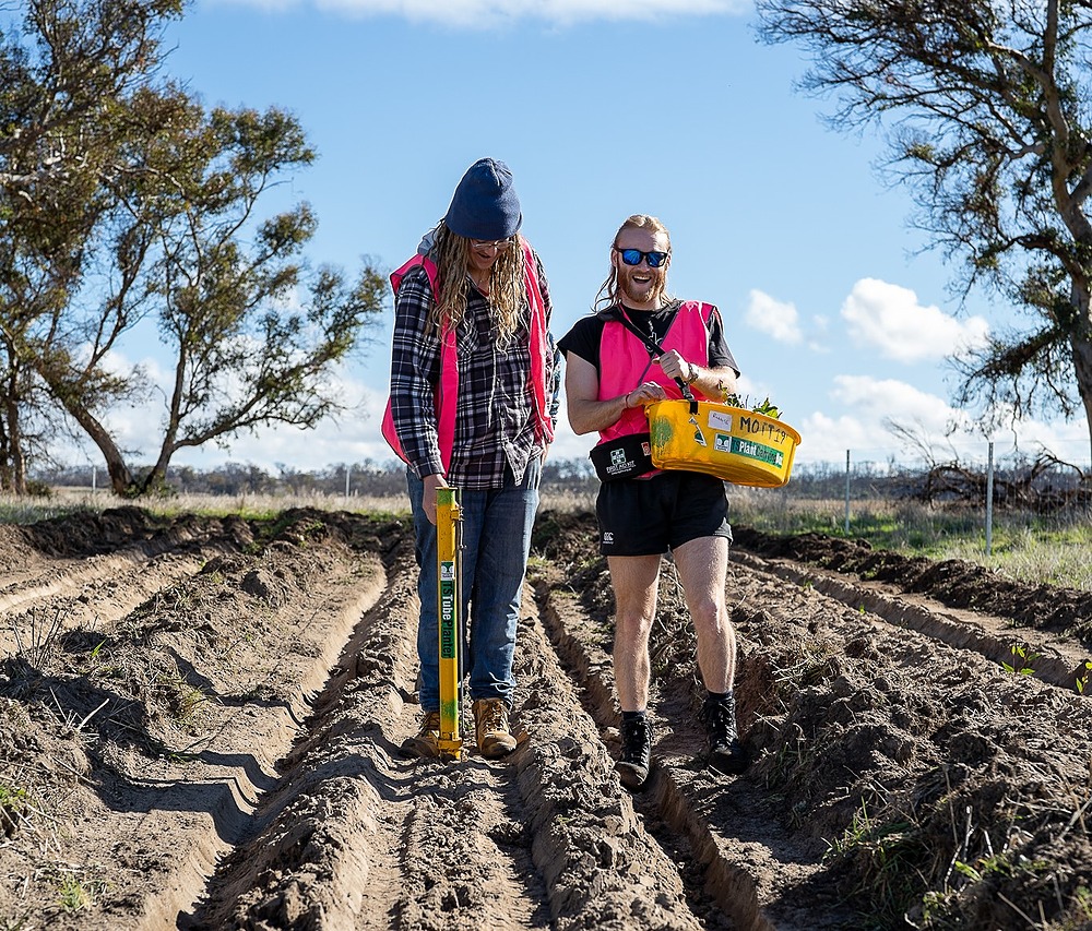 two young people plant trees