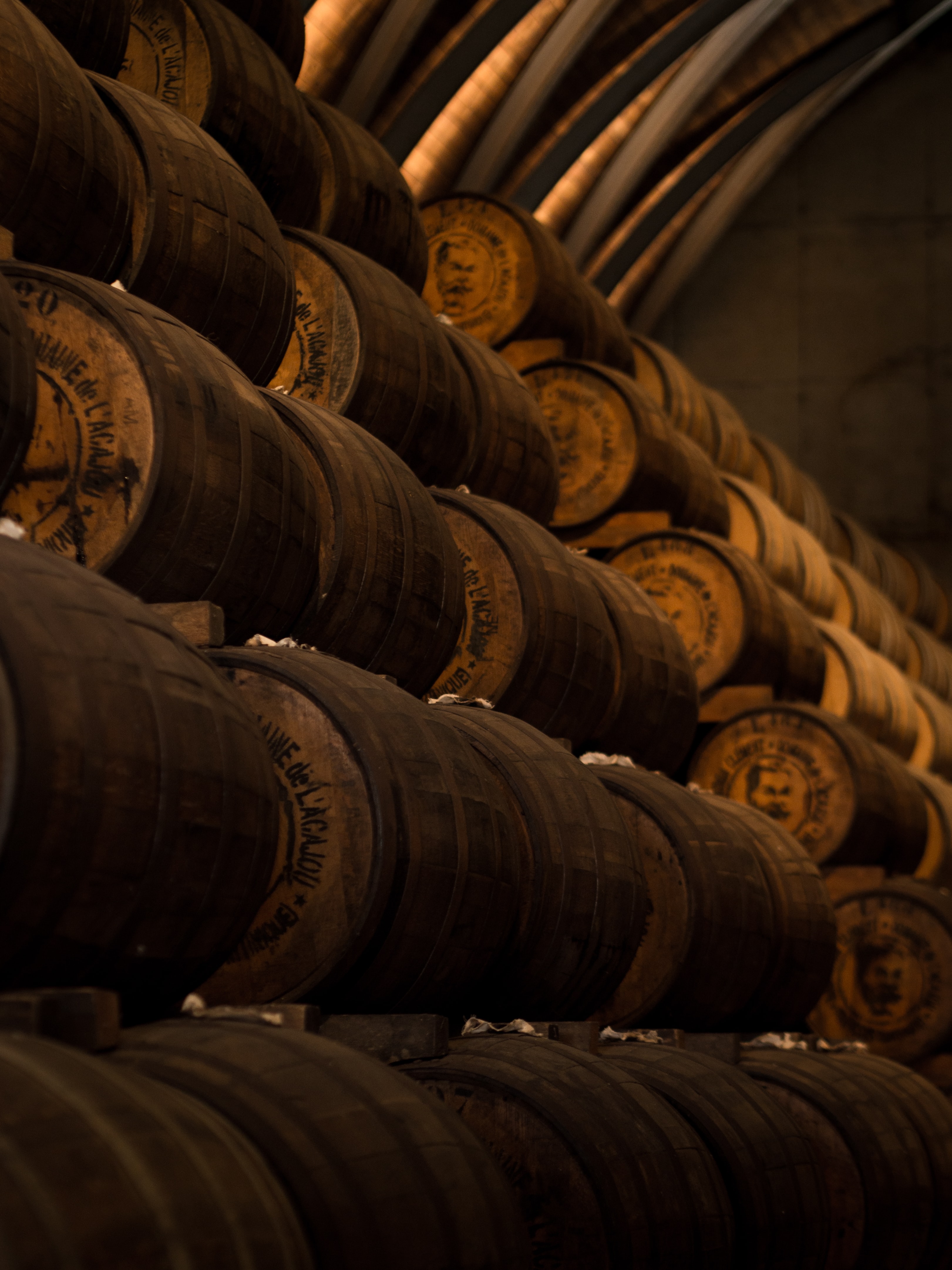 honey wine in barrels