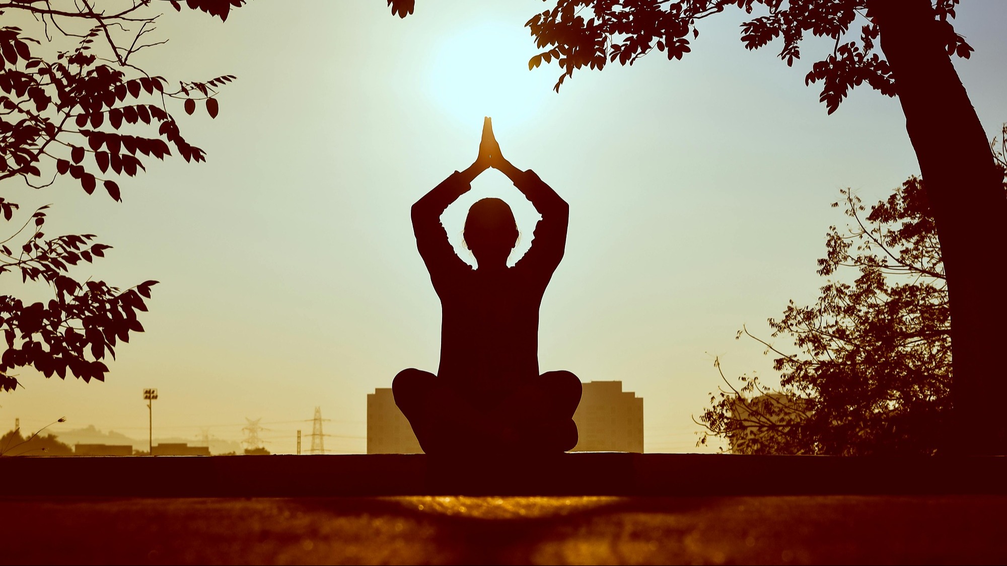 Représentation de la formation : Mindfulness : Découvrez la méditation 