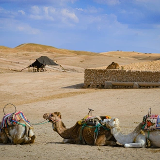 tourhub | Bamba Travel | Zagora & Merzouga Desert Private Adventure 4D/3N 