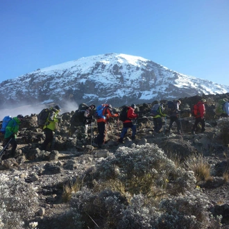 tourhub | Kilimanjaro Habitat Safaris | 8 Days Kilimanjaro Climb Lemosho Route 