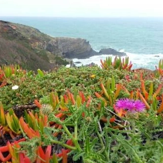 tourhub | UTracks | Rota Vicentina - the Fishermen's Trail 