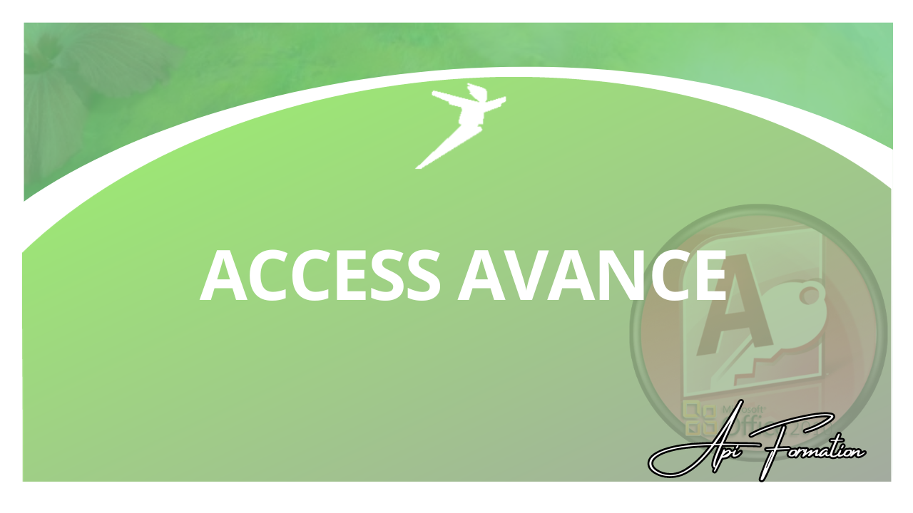 Représentation de la formation : ACCESS AVANCE