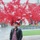 Manish S, freelance SAS SQL developer