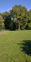 Picture of Doug Phillips Park