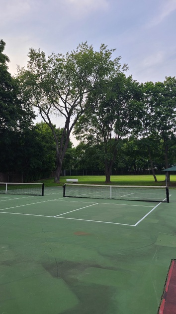 Play Pickleball at Casey Paradise Park: Court Information