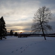 Moore Lake Pickleball Courts