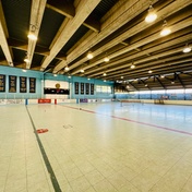 Ralph R. Rizzo Rink