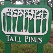 Tall Pine STEM Academy