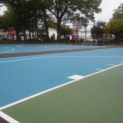 Roy Wilkins Park