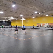 Pickleball Mania