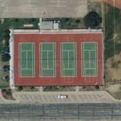 Shannon Schartz Courts