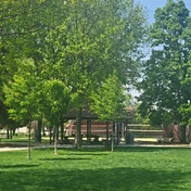 Rehm Park