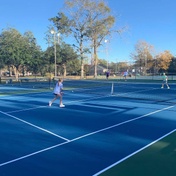 Collins Park Pickleball Courts