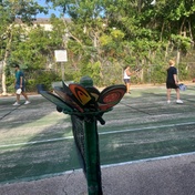 Coconut Grove Tennis Court