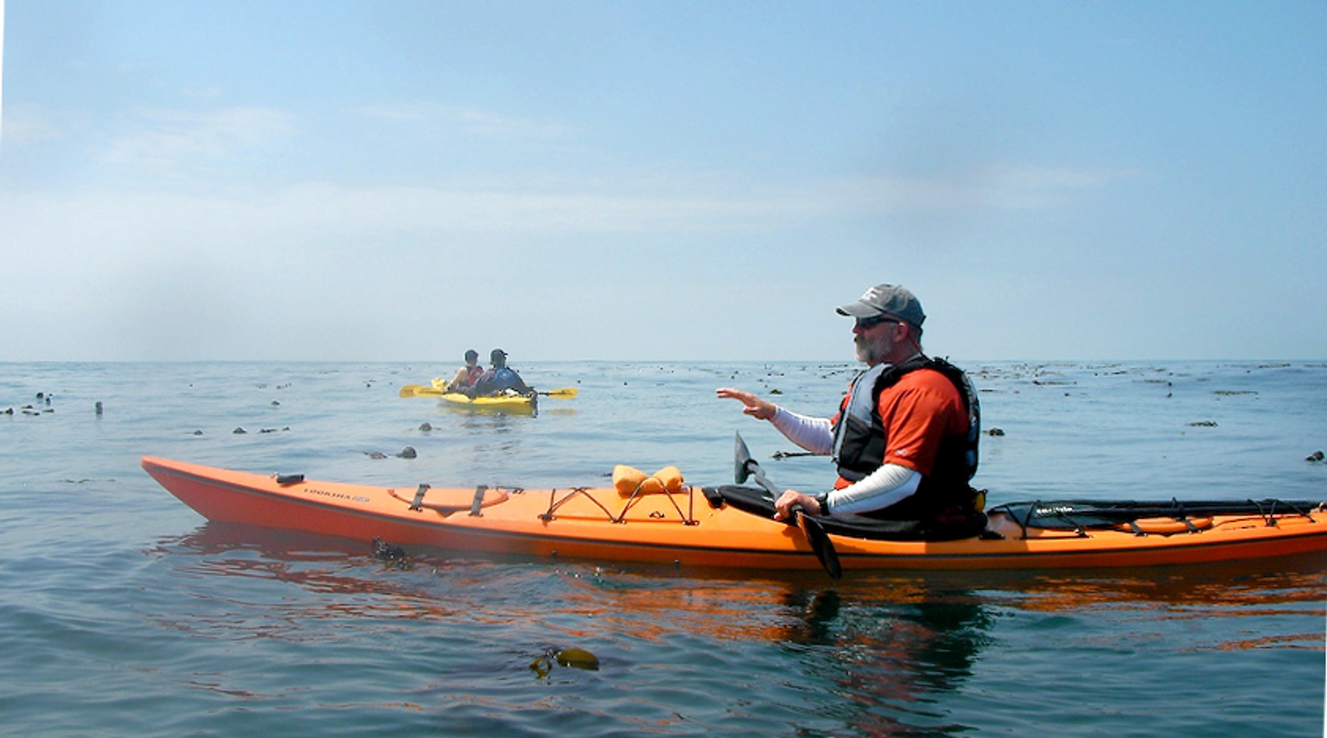Single-Person Sea Kayak Rental in Safety Harbor