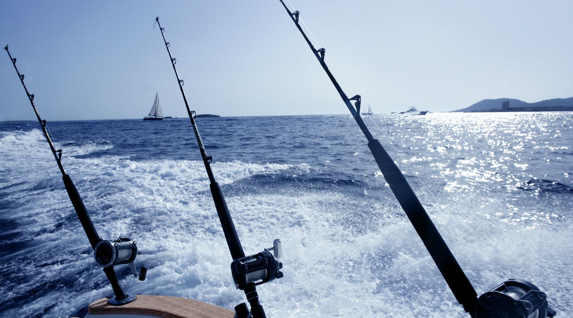 Full-Day Fishing Charter in the Gulf of Mexico