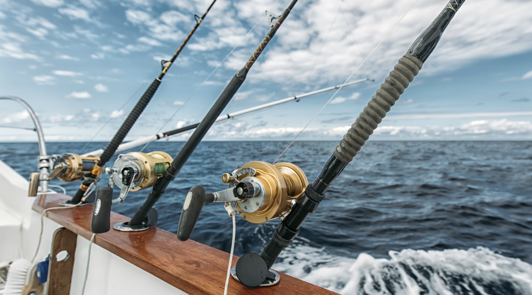 Four-Hour Fishing Charter in Anna Maria