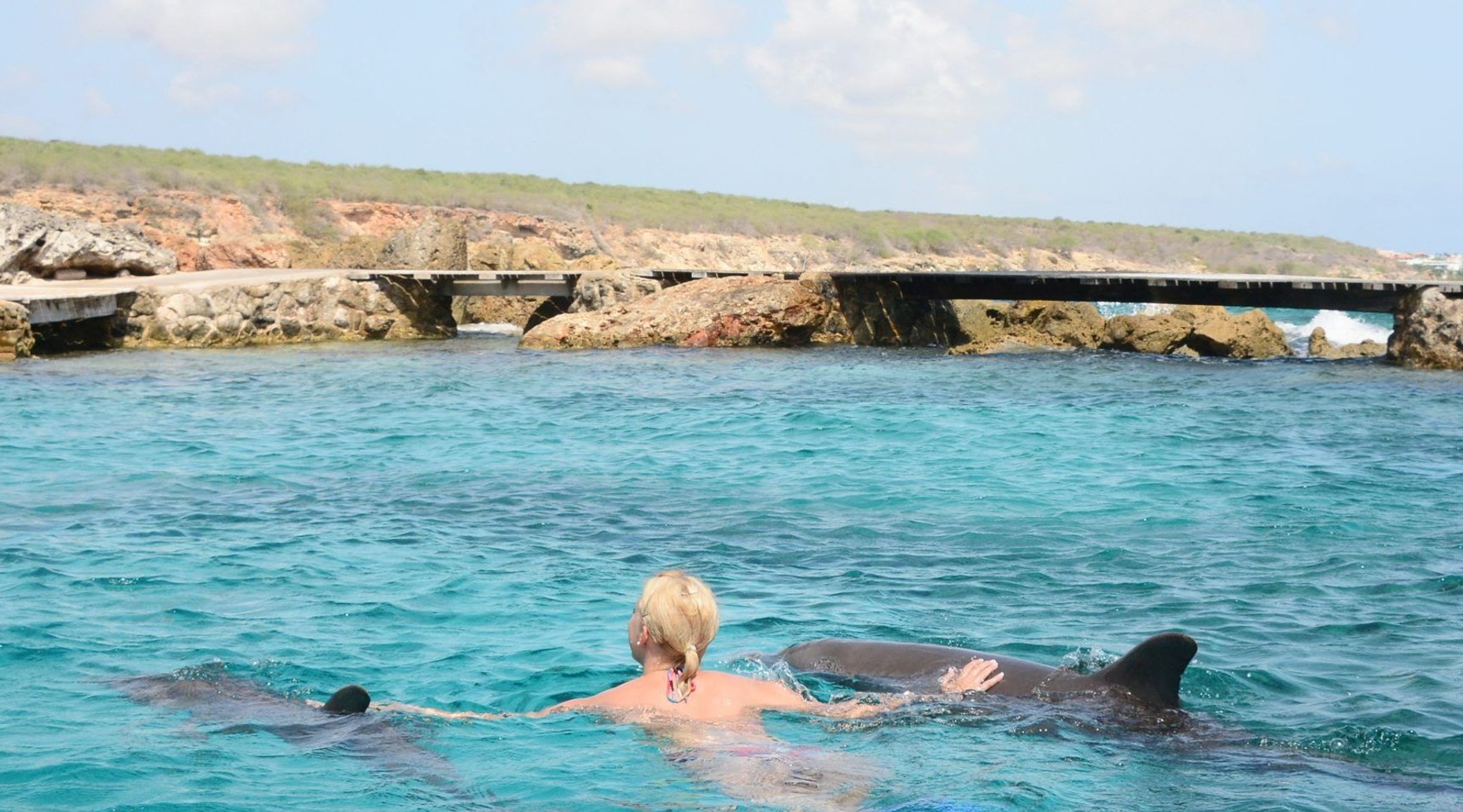Swim With Dolphins in Bapor Kibrá, Curaçao
