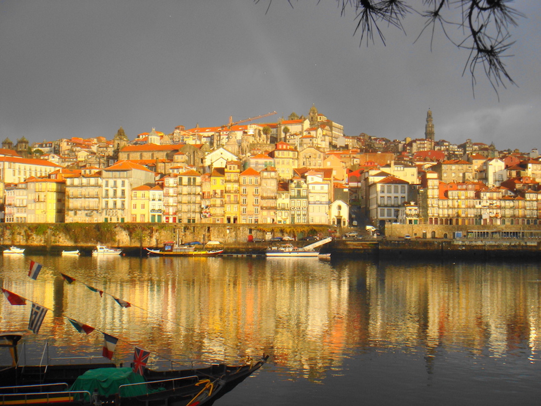 Guided Morning Walking Tour of Porto